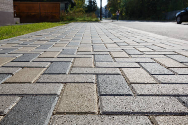 Best Asphalt Driveway Paving in Butler, GA